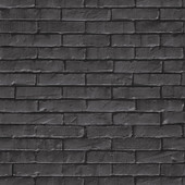 YNF103299090 Be Free Young and Free Wallpaper by Caselio