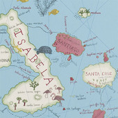 213366 ( DVOY213366 ) Galapagos Voyage of Discovery Wallpaper by Sanderson