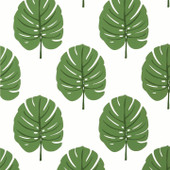T13952 Monstera Palm Grove Green Wallpaper by Thibaut