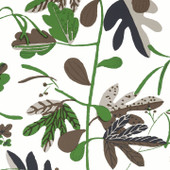 T16208 Matisse Leaf Kismet Black and Green Wallpaper by Thibaut T16208 Matisse Leaf Kismet Black and Green Wallpaper by Thibaut