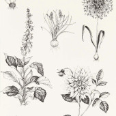 W0197/02 Roseraie Secret Garden Charcoal Wallpaper by Clarke & Clarke