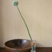 DMC148118 Standen Morris & Friends Beige and Brick Red Wallpaper by Morris & Co DMC148118 Standen Morris & Friends Beige and Brick Red Wallpaper by Morris & Co