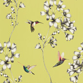 111061 Amazilia Idyllic Gooseberry Wallpaper by Harlequin 111061 Amazilia Idyllic Gooseberry Wallpaper by Harlequin