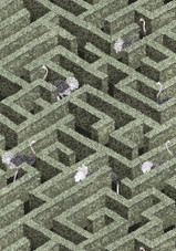 JMW-100101 Labyrinth with Ostrich Wallpaper by Josephine Munsey