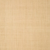 T19600 Bethany Raffia Grasscloth Resource Volume 6 Natural Wallpaper by Thibaut T19600 Bethany Raffia Grasscloth Resource Volume 6 Natural Wallpaper by Thibaut