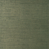 T14513 Bankun Raffia Texture Resource 8 Forest Wallpaper by Thibaut