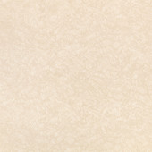 W469/05 Shiri Ottavia Rose Wallpaper By Romo