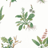 AT57852 Woodland Bristol Green & Blush Wallpaper by Anna French