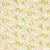 227198 Cantaloupe Indoor Outdoor Prints Matcha/Conch Fabric by Sanderson 227198 Cantaloupe Indoor Outdoor Prints Matcha/Conch Fabric by Sanderson