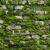 45731 Stone Optic Bricks and More Green Wallpaper By Galerie 45731 Stone Optic Bricks and More Green Wallpaper By Galerie