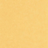 CER105242570 Uni Mat Ceramique Wallpaper by Caselio