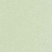 CER105247360 Uni Mat Ceramique Wallpaper by Caselio CER105247360 Uni Mat Ceramique Wallpaper by Caselio