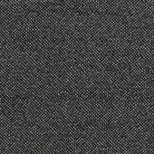 F1421/02 Filum Purus Ebony Fabric by Clarke and Clarke