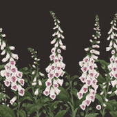 139919 Foxglove Concerto Night Mural Wallpaper By Graham & Brown