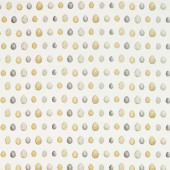 226424 Nest Egg Embleton Bay Corn/Graphite Fabric by Sanderson 226424 Nest Egg Embleton Bay Corn/Graphite Fabric by Sanderson
