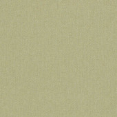 F1570/08 Rowland Burlington Olive Fabric by Clarke and Clarke