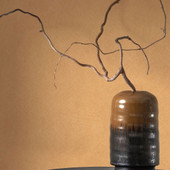 NEST201003232 Nest Wallpaper by Casadeco NEST201003232 Nest Wallpaper by Casadeco