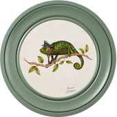 Punk Rocks Cleo on Chalk White Framed Art Prints by Brand McKenzie