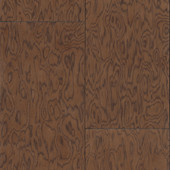 30802 Coti Emblème Chocolate Wallpaper By Arte 30802 Coti Emblème Chocolate Wallpaper By Arte