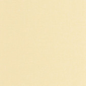 KBO103222000 Uni Mat Linen Edition 2 Wallpaper by Caselio KBO103222000 Uni Mat Linen Edition 2 Wallpaper by Caselio