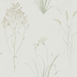 216488 Farne Grasses Embleton Bay Wallpaper By Sanderson