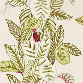 216631 Calathea Glasshouse Wallpaper By Sanderson 216631 Calathea Glasshouse Wallpaper By Sanderson