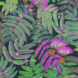 BOTA85897490 Albizia Botanica Wallpaper by Casadeco BOTA85897490 Albizia Botanica Wallpaper by Casadeco