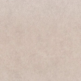 SCOL29581218 Constellation So Color 4 Wallpaper by Casadeco SCOL29581218 Constellation So Color 4 Wallpaper by Casadeco