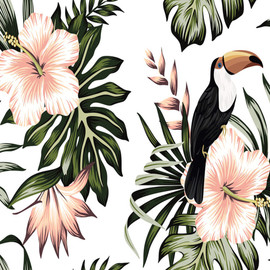 DD118576 Toucan Designwalls Wallpaper by A S Creation DD118576 Toucan Designwalls Wallpaper by A S Creation