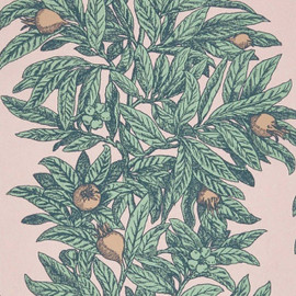 W7458-01 Medlar Mansfield Park Wallpaper By Osborne & Little