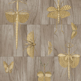 42002 Wings Ligna Wallpaper by Arte 42002 Wings Ligna Wallpaper by Arte
