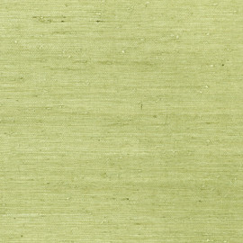 T85012 Maranta Arrowroot Greenwood Wallpaper By Thibaut T85012 Maranta Arrowroot Greenwood Wallpaper By Thibaut