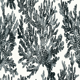 T10123 Marine Coral Tropics Wallpaper By Thibaut