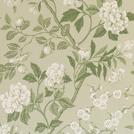 BW45000-10 Emperors Garden Soft Green Signature II Wallpaper by GP & J Baker BW45000-10 Emperors Garden Soft Green Signature II Wallpaper by GP & J Baker