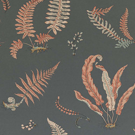 BW45044-13 Ferns Coral-Charcoal Signature II Wallpaper by GP & J Baker