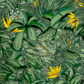 BMTD001/15B Tropical Forest Tropical Daze Wallpaper by Brand McKenzie