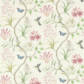 213388 Clementine One Sixty Wallpaper By Sanderson