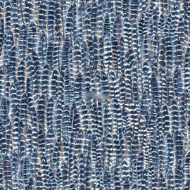345-347397 Feathers Identity Wallpaper by Today Interiors