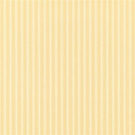 DCAVTP104 New Tiger Stripe One Sixty Wallpaper By Sanderson DCAVTP104 New Tiger Stripe One Sixty Wallpaper By Sanderson