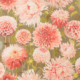112845 (HQN2112845) Dahlia Colour 2 Wallpaper by Harlequin 112845 (HQN2112845) Dahlia Colour 2 Wallpaper by Harlequin