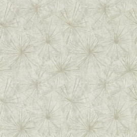 111855 Illusion Anthology 05 Wallpapers By Anthology