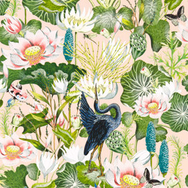 W0137/01 Blush Waterlily Botanical Wonders Wedgwood Wallpaper by Clarke & Clarke
