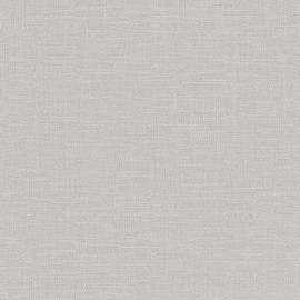 700428 Emporium Plain Wallpaper by Rasch