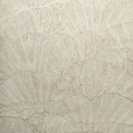 65003 Seashell Beige Feel Wallpaper By Hohenberger