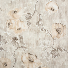 26916 Petunia Apricot Greyish Julie Feels Home Wallpaper By Hohenberger