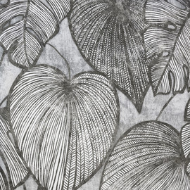 26939 Black Mid Lead Monstera Julie Feels Home Wallpaper By Hohenberger Galerie