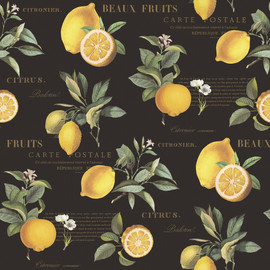G45411 Citron Botanical Just Kitchens Black and Yellow Wallpaper By Galerie