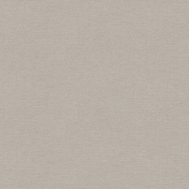 30689-4 Pint Walls Wallpaper by A S Creation