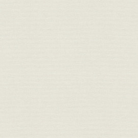 30688-2 Pint Walls Wallpaper by A S Creation