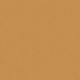 37178-4 Pint Walls Wallpaper by A S Creation